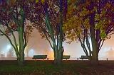 Foggy Night In The Park_01705-7